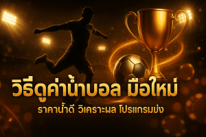 วิธีดูค่าน้ำบอล มือใหม่