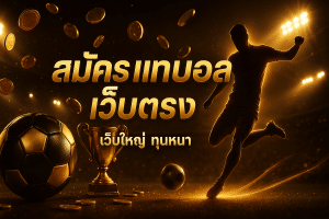 สมัคร แทงบอล เว็บตรง